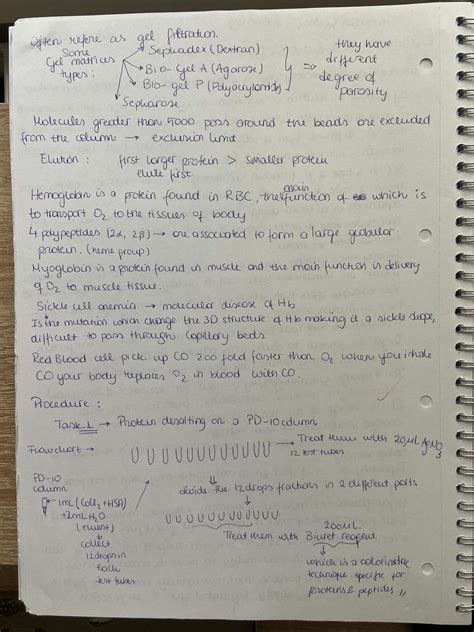 SOLUTION Separation Technique Laboratory Report Size Exclusion