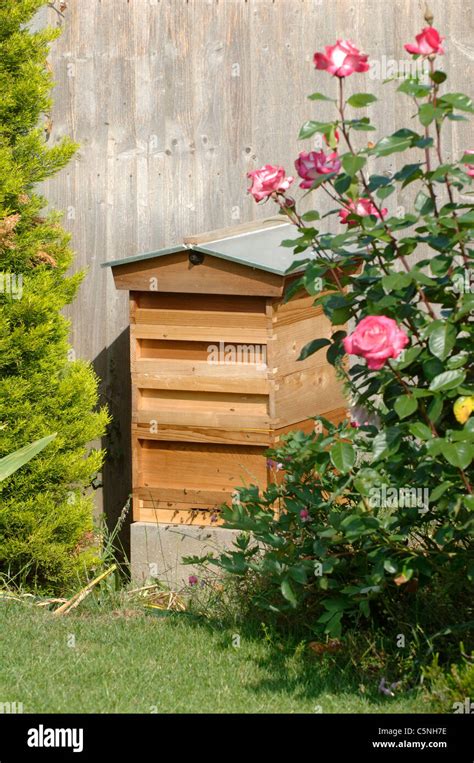 Bee Hives In An English Garden Stock Photo Alamy