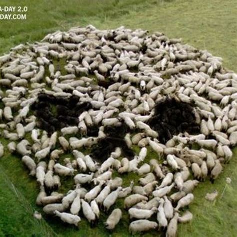 Stream Miss You Babe The Foursome Three By Fredrik Lundberg Listen Online For Free On Soundcloud