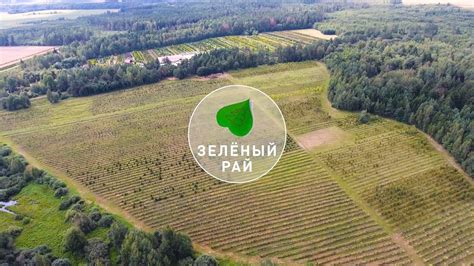 Питомник растений "Зеленый рай"