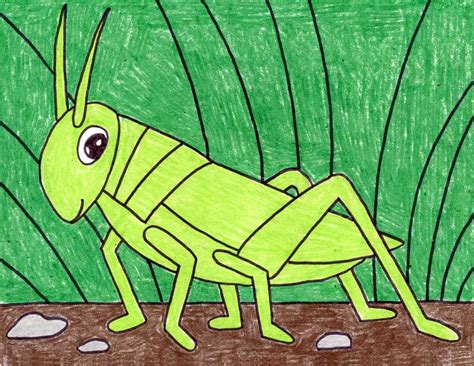 Easy How To Draw A Grasshopper Tutorial And Coloring Page