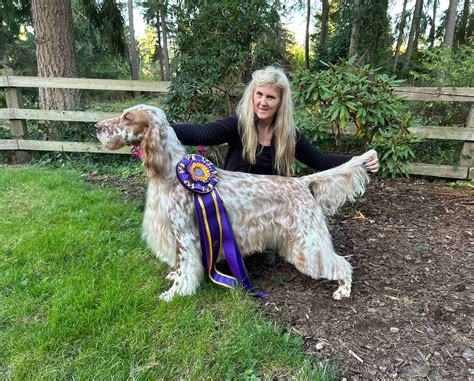 AKC Puppies For Sale In Seattle, WA