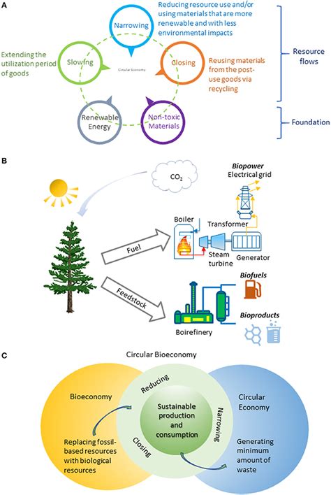 Frontiers Circular Bioeconomy Concepts—a Perspective