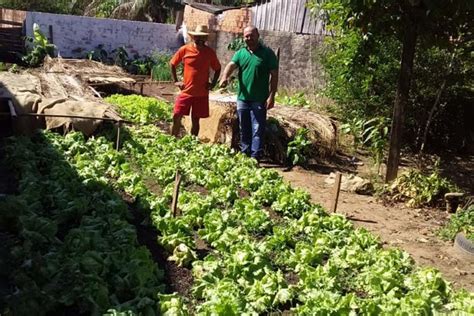 Prefeitura Leva Mais Alimento A Mesa Das Fam Lias Atrav S Do Projeto