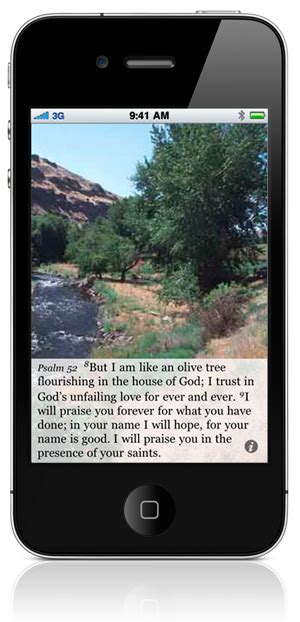 Flourishing in the House of God – Psalm 52 NIV 2 Minute Devotional – Systems of Merritt, Inc.