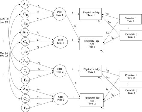 The Path Diagram Of The Structural Equation Model Circles Denote