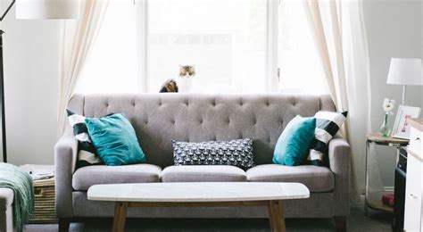 How To Clean Polyester Couch 4 Easy Methods And Tips