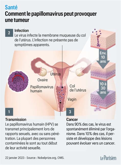 Vaccin contre le papillomavirus une prévention efficace contre le