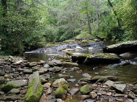 Creek | Wallpapers Gallery