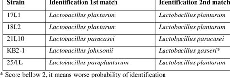 Identification Of Lactobacilli By Maldi Tof Ms Download Scientific