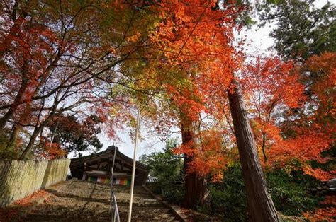 白峯寺 坂出市ホームページ