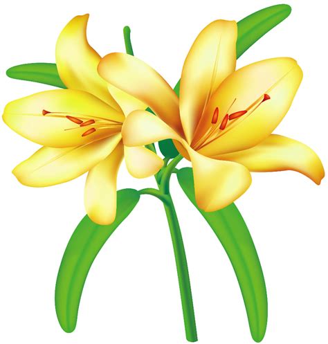 Download High Quality Flower clipart jasmine Transparent PNG Images - Art Prim clip arts 2019