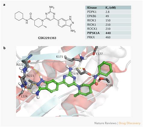 PIP5K1A: a potential target for cancers with KRAS or TP53 mutations 