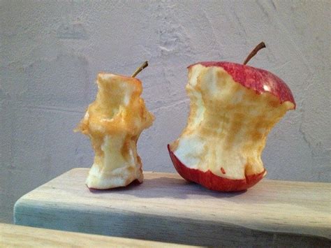 What Happens If Dog Eats Apple Core