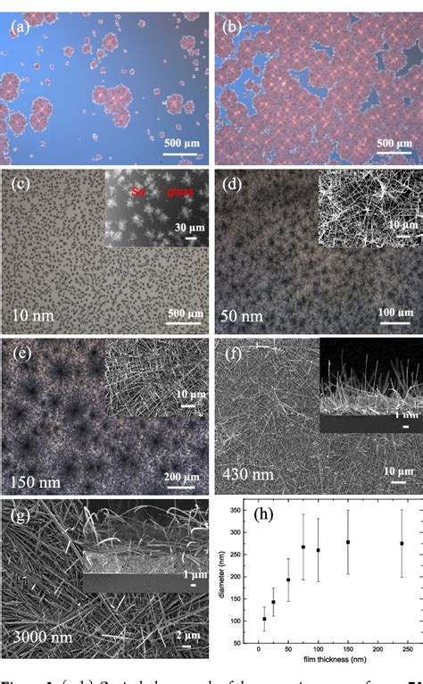 Pdf Direct Synthesis Of Selenium Nanowire Mesh On A Solid Substrate