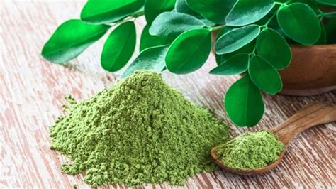 Sabes qué es la moringa Estos son algunos de sus beneficios Gastrolab