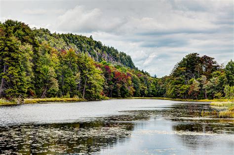 A Touch Of Autumn At Bald Mountain Pond Photograph By David Patterson