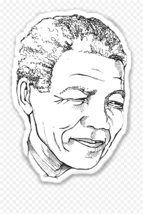 Education Hub Nelson Mandela Pencil Drawing Png Nelson Mandela Png