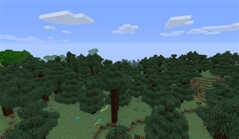 Forest Biome: Forest Biome In Minecraft