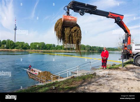 Wien Vienna Water Plants Boat Mower Of Wiener Gew Sser Vienna Waters