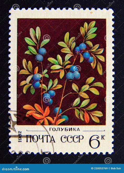 Postage Stamp Soviet Union Cccp Northern Bilberry Vaccinium