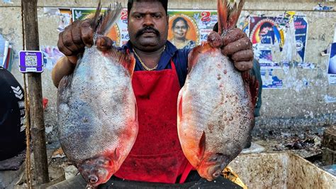 KASIMEDU SPEED SELVAM VERY VERY RARE FISH CUTTING VIDEO 4K VIDEO