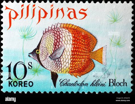 Colorful Tropical Fish On Postage Stamp Of Philippines Stock Photo Alamy