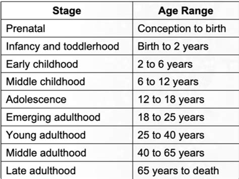 Chapter 9 Lifespan Development Flashcards Quizlet