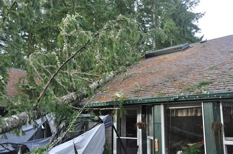 5 Steps To Repair Wind Damage To Roof Correctly Safely