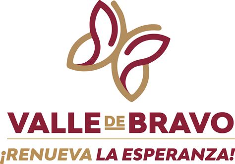 Tipo De Vialidad 5