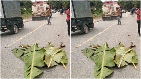 Kecelakaan Maut Tadi Pagi Pesepeda Gunung Tewas Di Tempat Korban