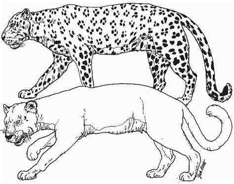 Coloriage Panth Re Animaux Coloriages Imprimer