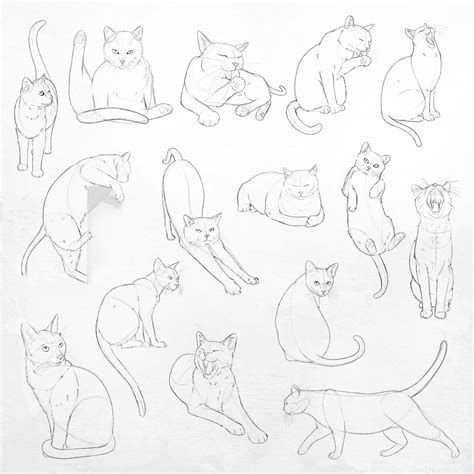 Cat Pose Sketch Clip Art Set