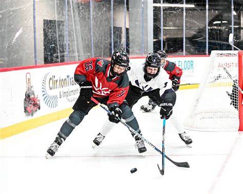 The Inaugural Pwhl Season Starts This Week Get To Know Some Of The