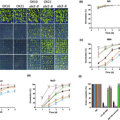 Seed Germination Response Of ARABIDOPSIS NITRATE REGULATED 1