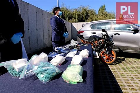 Pdi Desarticuló Banda Criminal Dedicada Al Tráfico De Drogas En Valdivia Paislobo Prensa