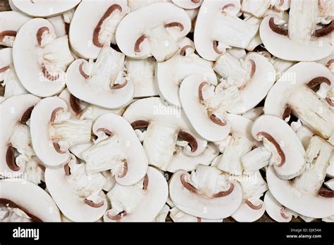 Fresh Button Mushrooms Hi Res Stock Photography And Images Alamy