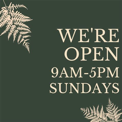 Were Open From 9am Sundays Pasadena Shopping The Idyllic Place