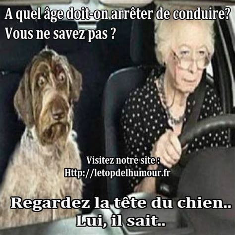 Regardez La Tête Du Chien Humour Chiens Images Drôles Blagues