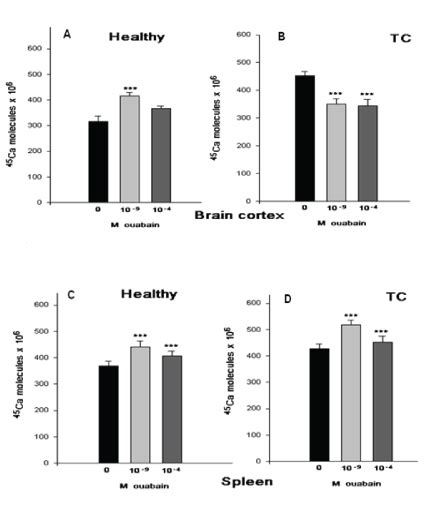 Over Expression Of Na Ca Exchangers In Soft Tissues As A Novel