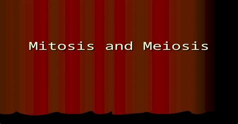 Mitosis And Meiosis A Side By Side Comparison The Starting Cell The Starting Cell Mitosis