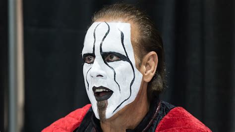 Sting Wrestler Face Paint