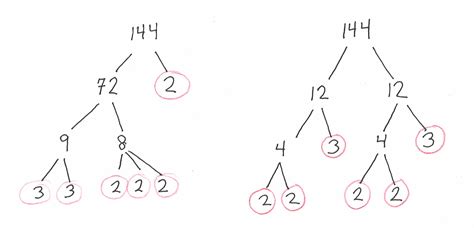 What Is A Prime Factor Tree