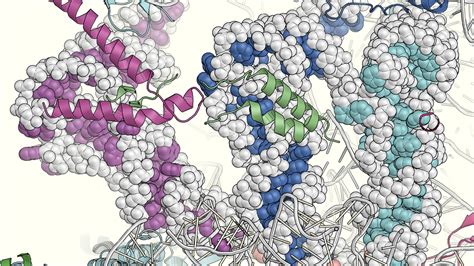 Structural Basis Of Mitochondrial Translation SciLifeLab