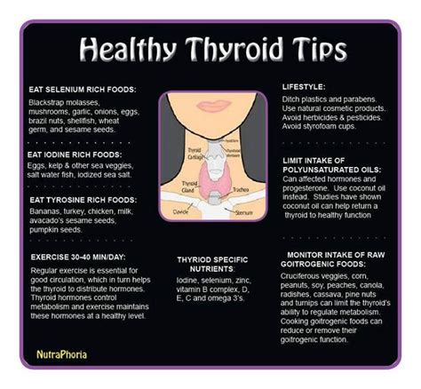 Keep Your Thyroid Healthy With These 8 Tips Healthy Thyroid Thyroid