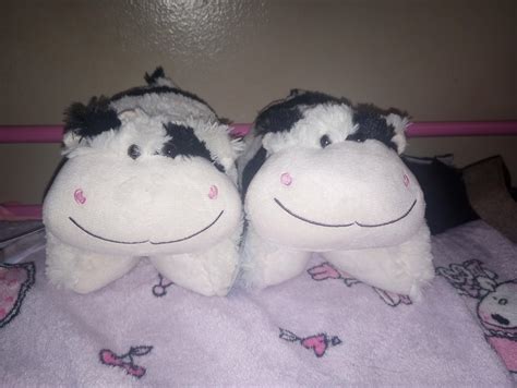 I DIDN'T KNOW FIVE BELOW HAD MINI PILLOW PETS?? They're so cute!! I got