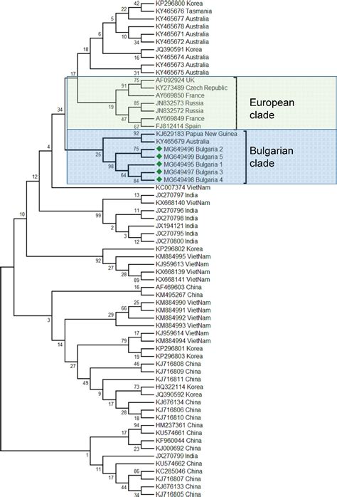 Figure 2 From Molecular Detection And Phylogenetic Assessment Of Six