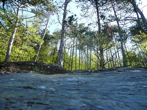 images landscape tree nature forest outdoor rock