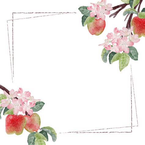 Watercolor Apple Flower And Fruit Frame 9593843 Png