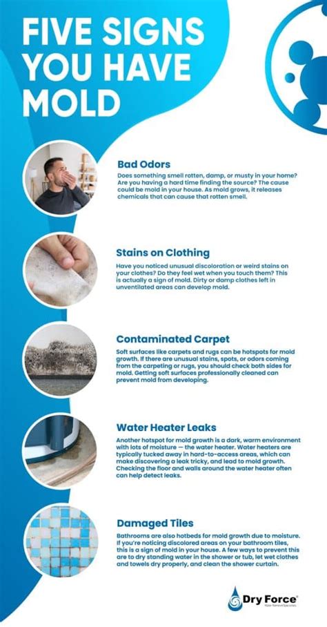 Top 10 Signs Of Mold In Your House